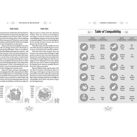 The Book of Divination A Guide to Predicting the Future Michael Johnstone NEW - Picture 4 of 7